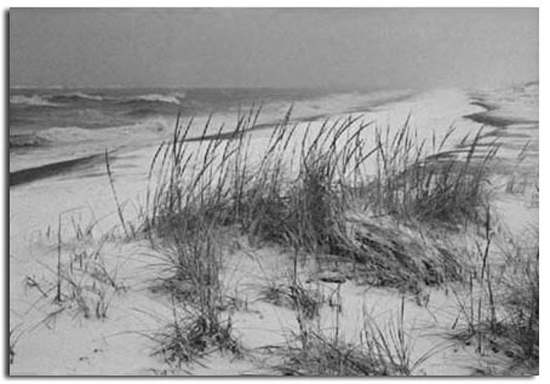 Noreaster