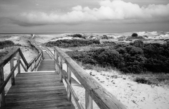 DuneWalk