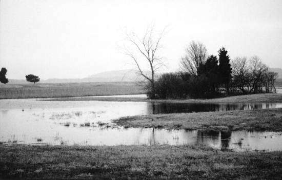 FloodTide