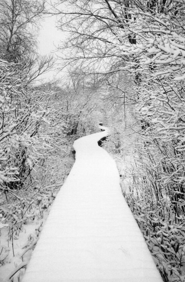 HushOfWinter