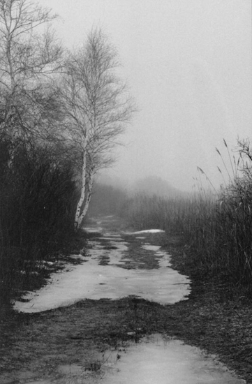 MarshPath