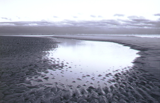 TidalPool