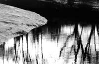 TidalCreekReflections