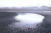 TidalPool