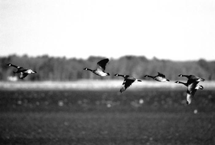 autumn_departure