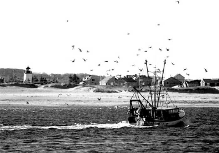 bringing_in_the_catch