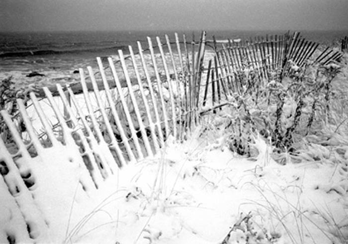 fresh_snow