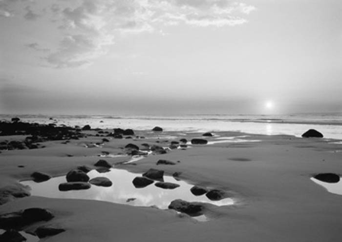 oh_what_a_beautiful_morning