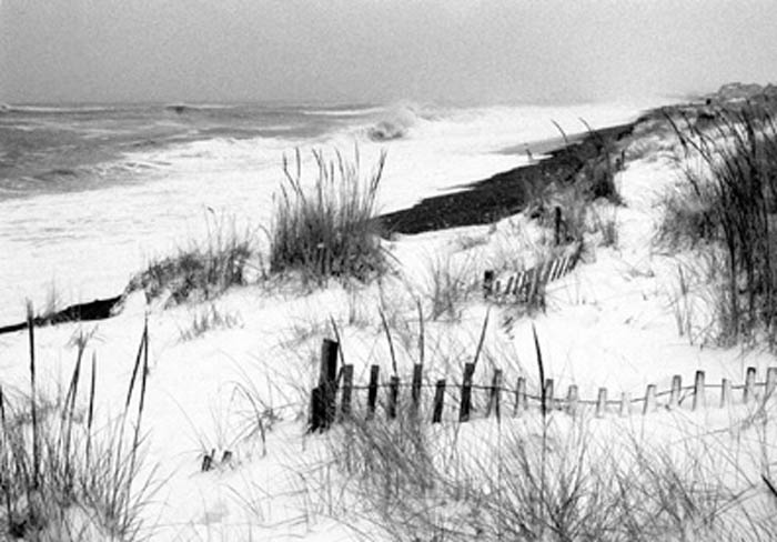 winter_snow_squall
