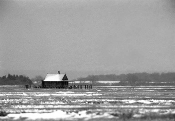 winter_stillness
