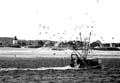bringing_in_the_catch