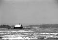 winter_stillness